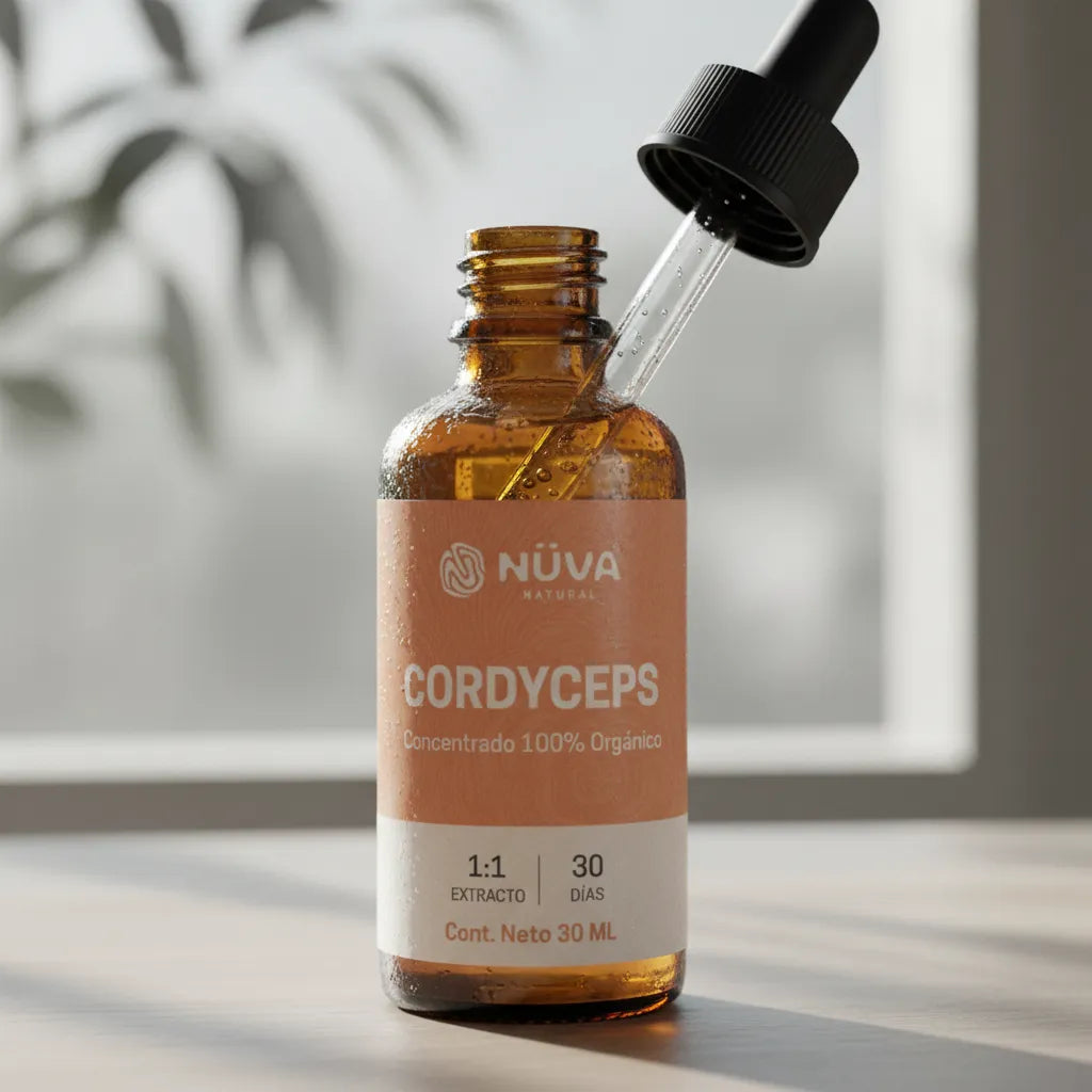 Cordyceps Concentrado extracto 30ml