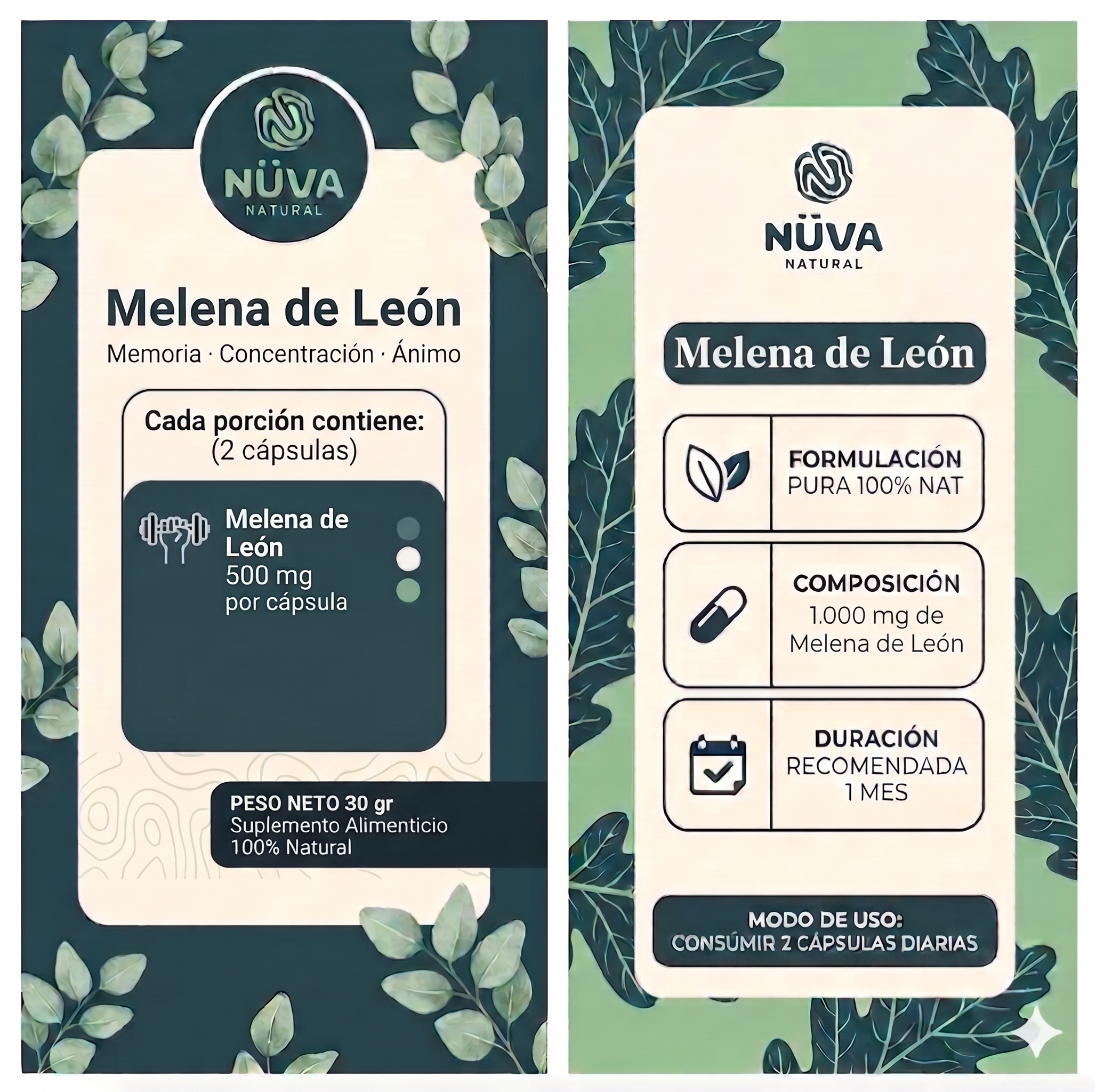 Melena de Leon 1000mg 60 Cap